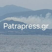 Αχαΐα: Μεγάλη κινητοποίηση της Πυροσβεστικής για φωτιά στα Σελιανίτικα ΦΩΤΟ