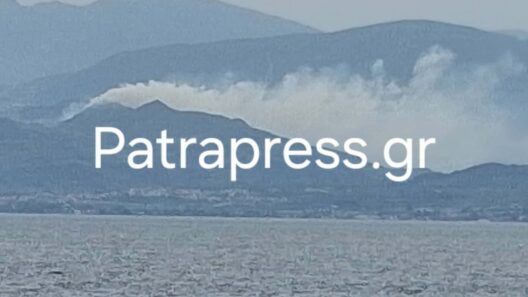 Αχαΐα: Μεγάλη κινητοποίηση της Πυροσβεστικής για φωτιά στα Σελιανίτικα ΦΩΤΟ