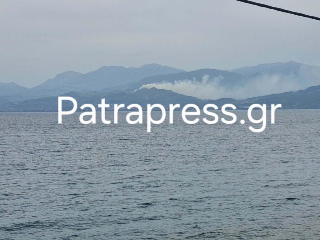 Αχαΐα: Μεγάλη κινητοποίηση της Πυροσβεστικής για φωτιά στα Σελιανίτικα - Τι δηλώνει στο Patrapress.gr ο Φ. Ζαΐμης ΝΕΟΤΕΡΑ - ΦΩΤΟ 25 Αχαΐα: Μεγάλη κινητοποίηση της Πυροσβεστικής για φωτιά στα Σελιανίτικα - Τι δηλώνει στο Patrapress.gr ο Φ. Ζαΐμης ΝΕΟΤΕΡΑ - ΦΩΤΟ