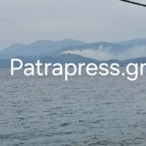 Αχαΐα: Συνελήφθη άνδρας για τη φωτιά στα Σελινιάτικα