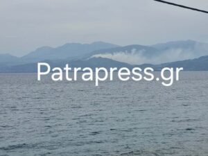 Αχαΐα: Συνελήφθη άνδρας για τη φωτιά στα Σελινιάτικα