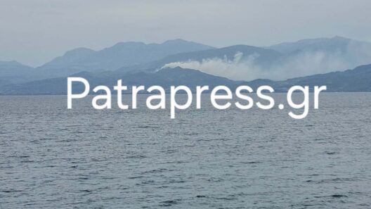 Αχαΐα: Συνελήφθη άνδρας για τη φωτιά στα Σελινιάτικα