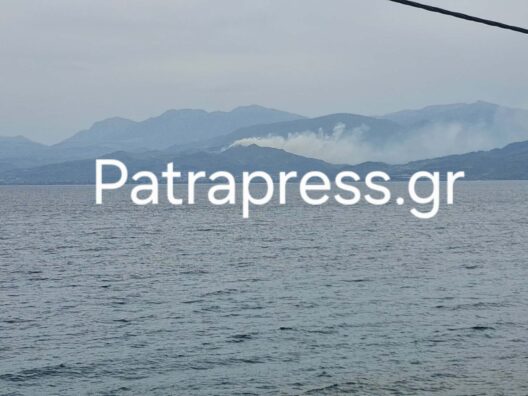 Αχαΐα: Σύλληψη ατόμου για τη φωτιά στα Σελινιάτικα ΦΩΤΟ 25 Αχαΐα: Σύλληψη ατόμου για τη φωτιά στα Σελινιάτικα ΦΩΤΟ