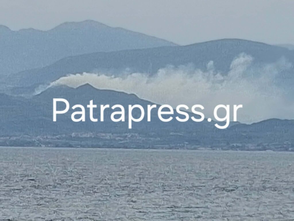 Αχαΐα: Μεγάλη κινητοποίηση της Πυροσβεστικής για φωτιά στα Σελιανίτικα - Τι δηλώνει στο Patrapress.gr ο Φ. Ζαΐμης ΝΕΟΤΕΡΑ - ΦΩΤΟ 26 Αχαΐα: Μεγάλη κινητοποίηση της Πυροσβεστικής για φωτιά στα Σελιανίτικα - Τι δηλώνει στο Patrapress.gr ο Φ. Ζαΐμης ΝΕΟΤΕΡΑ - ΦΩΤΟ