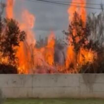 Πάτρα: Φωτιά σε ξερόχορτα, οι φλόγες απείλησαν σπίτια στο Μπεγουλάκι ΦΩΤΟ