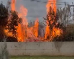 Πάτρα: Φωτιά σε ξερόχορτα, οι φλόγες απείλησαν σπίτια στο Μπεγουλάκι ΦΩΤΟ