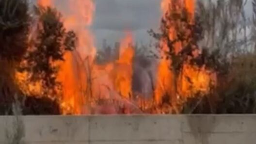 Πάτρα: Φωτιά σε ξερόχορτα, οι φλόγες απείλησαν σπίτια στο Μπεγουλάκι ΦΩΤΟ