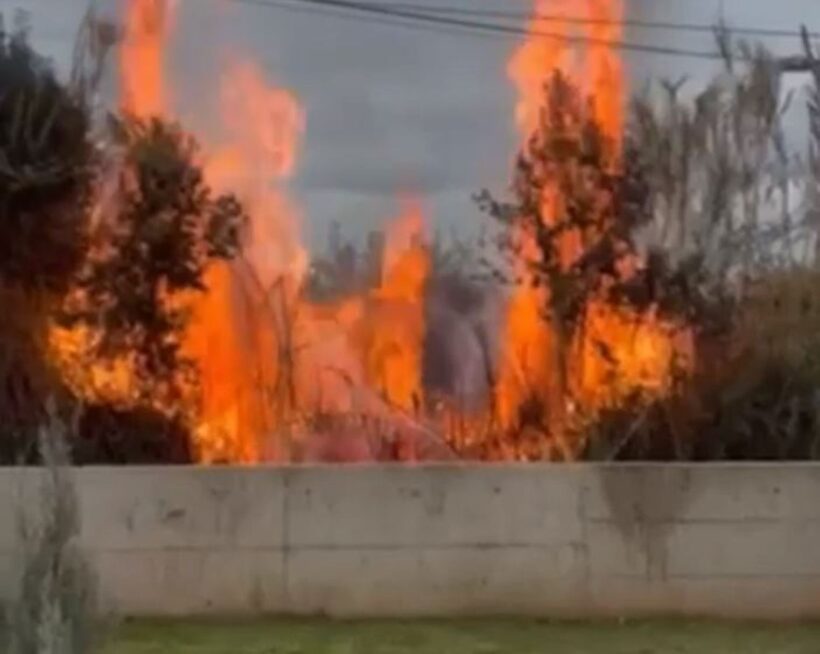 Πάτρα: Φωτιά σε ξερόχορτα, οι φλόγες απείλησαν σπίτια στο Μπεγουλάκι ΦΩΤΟ 24 Πάτρα: Φωτιά σε ξερόχορτα, οι φλόγες απείλησαν σπίτια στο Μπεγουλάκι ΦΩΤΟ