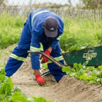 Φυτοφάρμακα: Πώς συνδέονται με τον κίνδυνο για καρκίνο του πνεύμονα σε άτομα κάτω των 50