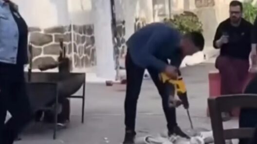 Τελείωσαν τα πιάτα και άρχισαν να σπάνε τουαλέτες... σε γλέντι! ΒΙΝΤΕΟ