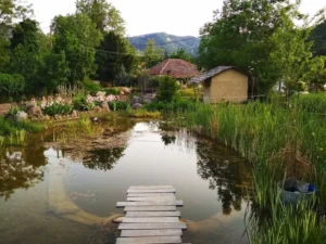 Παραμυθένιο χωριό, από τον απορφανισμό στην αναβίωση η Σελιάνα Αχαΐας ΦΩΤΟ