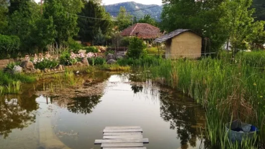 Παραμυθένιο χωριό, από τον απορφανισμό στην αναβίωση η Σελιάνα Αχαΐας ΦΩΤΟ