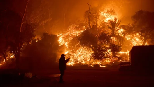 Ιαπωνία: Πάνω από 3.000 άνθρωποι εκκένωσαν τα σπίτια τους εξαιτίας πυρκαγιών ΒΙΝΤΕΟ