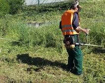 Πάτρα: Υποχρεωτικός καθαρισμός οικοπέδων με πρόστιμα σε παραβάτες