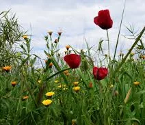 Αχαΐα: Αίθριος, νεφελώδης, με κανονικές θερμοκρασίες