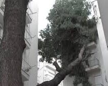 Αμπελόκηποι: Νεκρός άνδρας που έπεσε σε ακάλυπτο πολυκατοικίας