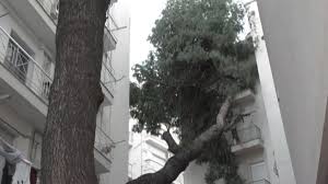 Αμπελόκηποι: Νεκρός άνδρας που έπεσε σε ακάλυπτο πολυκατοικίας