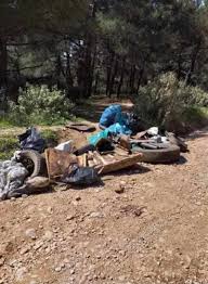 Ελεκίστρα Πατρών: Ζητούν από το Υπουργείο Αμυνας δασική έκταση για αξιοποίησή της ΦΩΤΟ