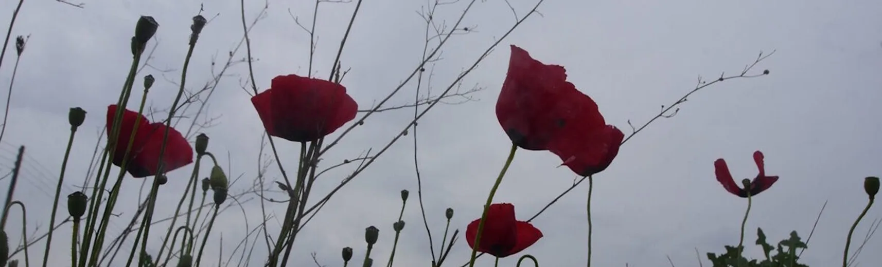 Πρωτομαγιά: Σε ποιες περιοχές χαλάει ο καιρός