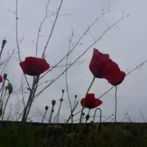 Πρωτομαγιά: Σε ποιες περιοχές χαλάει ο καιρός