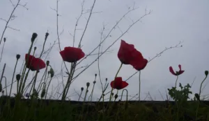 Πρωτομαγιά: Σε ποιες περιοχές χαλάει ο καιρός