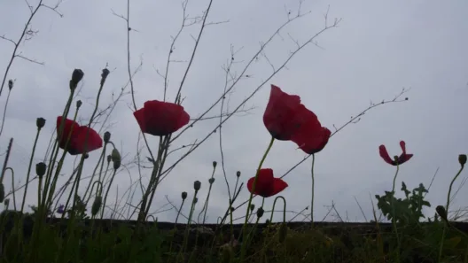 Πρωτομαγιά: Σε ποιες περιοχές χαλάει ο καιρός