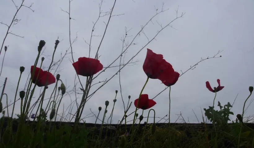 Πρωτομαγιά: Σε ποιες περιοχές χαλάει ο καιρός