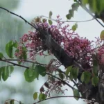 Αχαΐα: Αστατος σήμερα, ο καιρός στην περιοχή