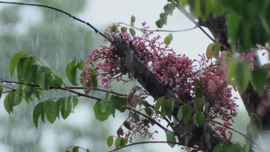 Αχαΐα: Αστατος, σήμερα, ο καιρός στην περιοχή