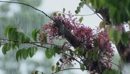 Αχαΐα: Αστατος σήμερα, ο καιρός στην περιοχή