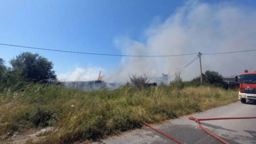 Καλαμάτα: Μεγάλη φωτιά σε επιχείρηση - Διακοπή κυκλοφορίας BINTEO