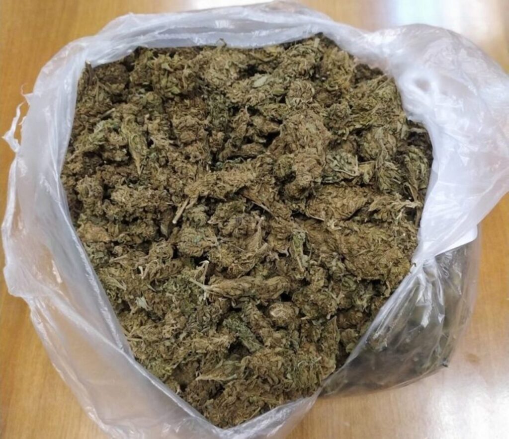 Αχαΐα: Βρέθηκε μεγάλη ποσότητα κάνναβης και πιστόλι - Μια σύλληψη