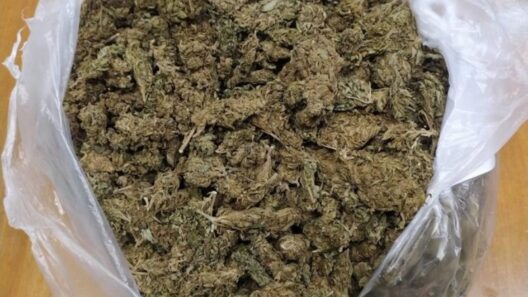 Αχαΐα: Βρέθηκε μεγάλη ποσότητα κάνναβης και πιστόλι - Μια σύλληψη