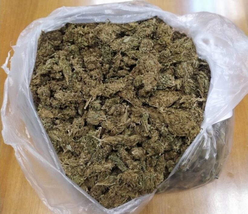 Αχαΐα: Βρέθηκε μεγάλη ποσότητα κάνναβης και πιστόλι - Μια σύλληψη