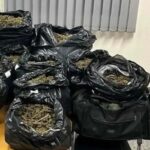 Πύργος: Καλλιεργούσε χασισοφυτεία δίπλα σε στάδιο!