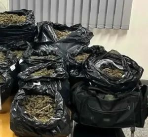 Αχαΐα: 30 κιλά κάνναβης σε σακούλες - Η στιγμή της σύλληψης διακινητή