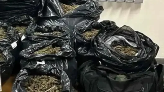 Αχαΐα: 30 κιλά κάνναβης σε σακούλες - Η στιγμή της σύλληψης διακινητή