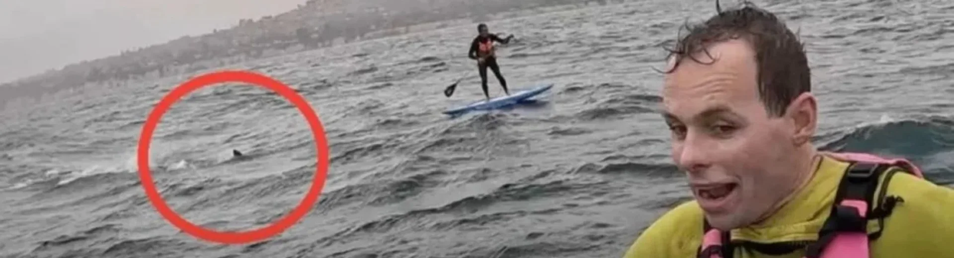 Καρχαρίας καταδίωκε σέρφερ για δύο μίλια – «Μην πέσεις, μην σταματάς!» ΒΙΝΤΕΟ