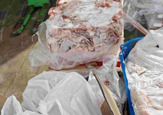 Κατάσχεση 11 τόνων ακατάλληλων κρεάτων από την Περιφέρεια Αττικής ΦΩΤΟ 26 Κατάσχεση 11 τόνων ακατάλληλων κρεάτων από την Περιφέρεια Αττικής ΦΩΤΟ