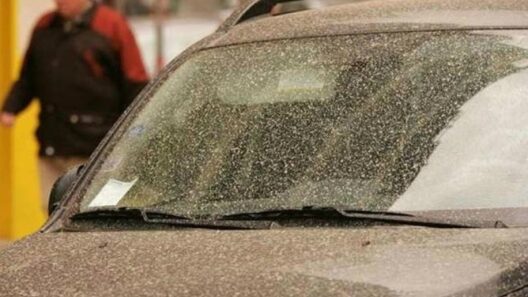 Αχαΐα: Ανεμοι, λασποβροχές, αλλά πιο πολύ ζέστη