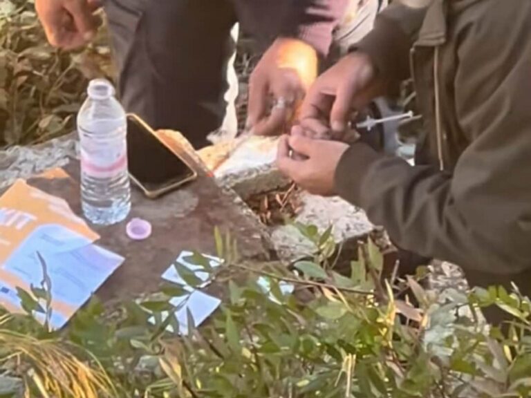 Πάτρα: Νυχτερινός εφιάλτης σε πέντε περιοχές - Κυκλώματα και ναρκωτικά σε δημόσια θέα ΦΩΤΟ