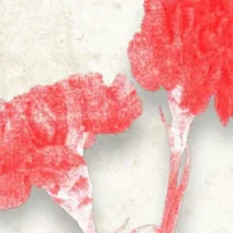 Η ημέρα αγώνα της «Νέας Αριστεράς» για την Εργατική Πρωτομαγιά, στην Πάτρα