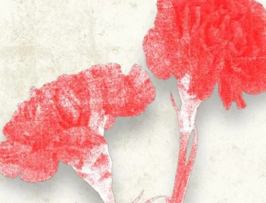 Η ημέρα αγώνα της «Νέας Αριστεράς» για την Εργατική Πρωτομαγιά, στην Πάτρα