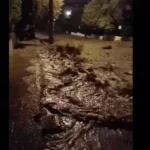 Νέα Μάκρη: «Βρέθηκε σφηνωμένος σε αυτοκίνητο» μαρτυρίες για τον 50χρονο νεκρό της κακοκαιρίας «Erminio» ΒΙΝΤΕΟ