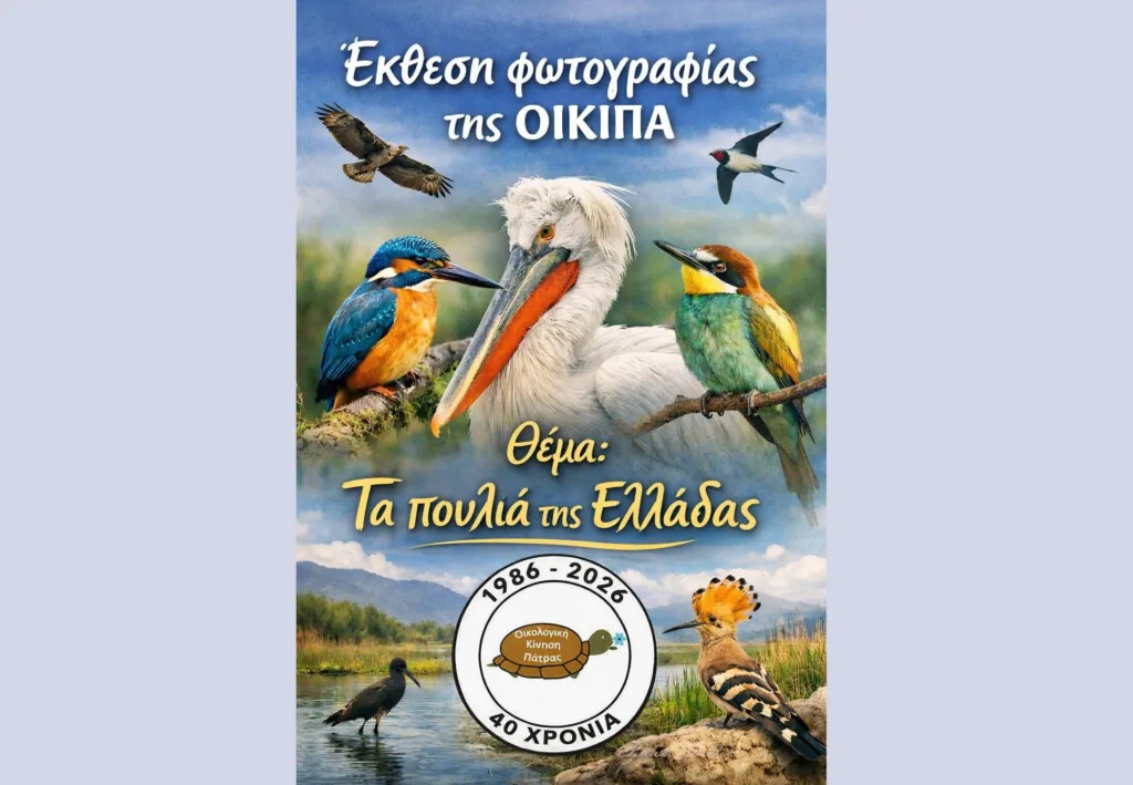 Παρατείνεται η Έκθεση Φωτογραφίας της ΟΙΚΙΠΑ «Τα πουλιά της Ελλάδας» 29 Παρατείνεται η Έκθεση Φωτογραφίας της ΟΙΚΙΠΑ «Τα πουλιά της Ελλάδας»
