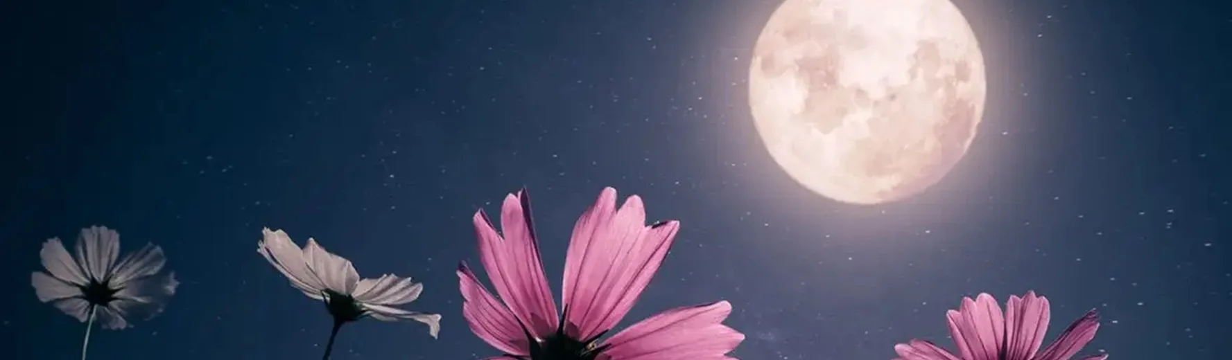 Την Πρωτομαγιά η «Πανσέληνος των Λουλουδιών» - Ποια ζώδια θα επηρεάσει