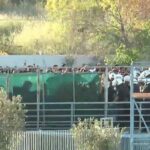 Βόλος: Επεισόδια ανάμεσα σε ΜΑΤ και οπαδούς του ΠΑΟΚ  ΦΩΤΟ