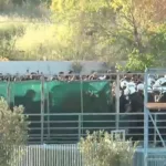 Βόλος: Επεισόδια ανάμεσα σε ΜΑΤ και οπαδούς του ΠΑΟΚ ΦΩΤΟ