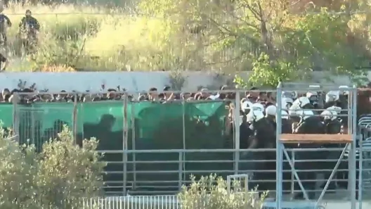 Βόλος: Επεισόδια ανάμεσα σε ΜΑΤ και οπαδούς του ΠΑΟΚ ΦΩΤΟ