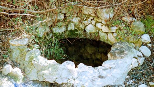 Κρήτη: Συναγερμός για 11χρονο που έπεσε σε πηγάδι